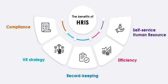 Know About HRIS and the Supporting Points of HRIS